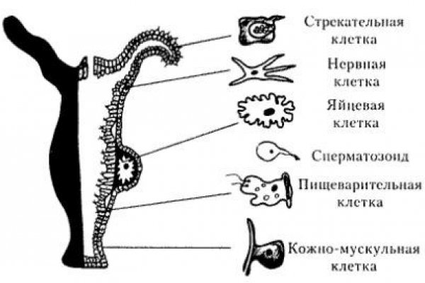 Кракен продажа