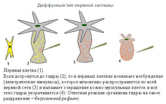 Вход в кракен даркнет